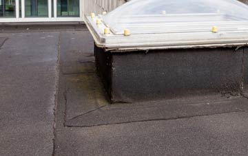disadvantages of Cowshill flat roofs