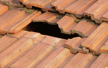 roof repair Cowshill, County Durham